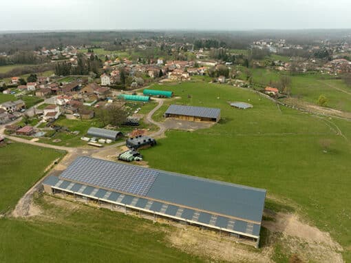 Agricoltura-zootecnia-e-agroindustria