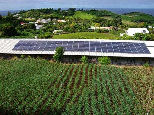Bando-parco-agrisolare-fotovoltaici-agricoli-mantova