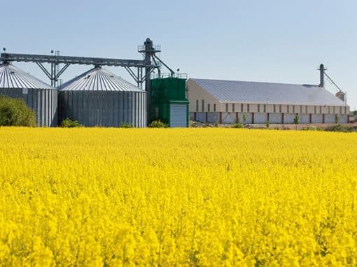 Finanziamento-a-fondo-perduto-impianti-fotovoltaici-mantova