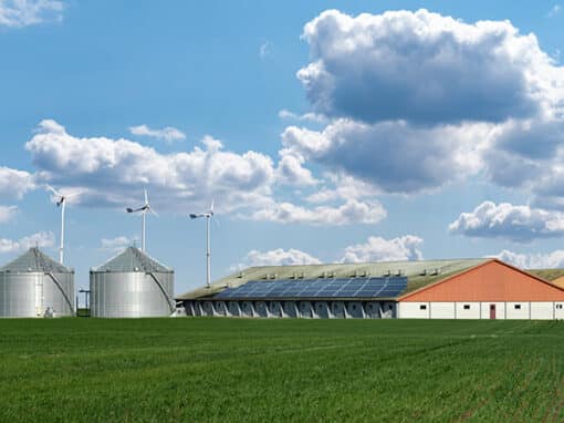 Pnrr-realizzazione-impianti-fotovoltaici-edifici-agricoli-villafranca